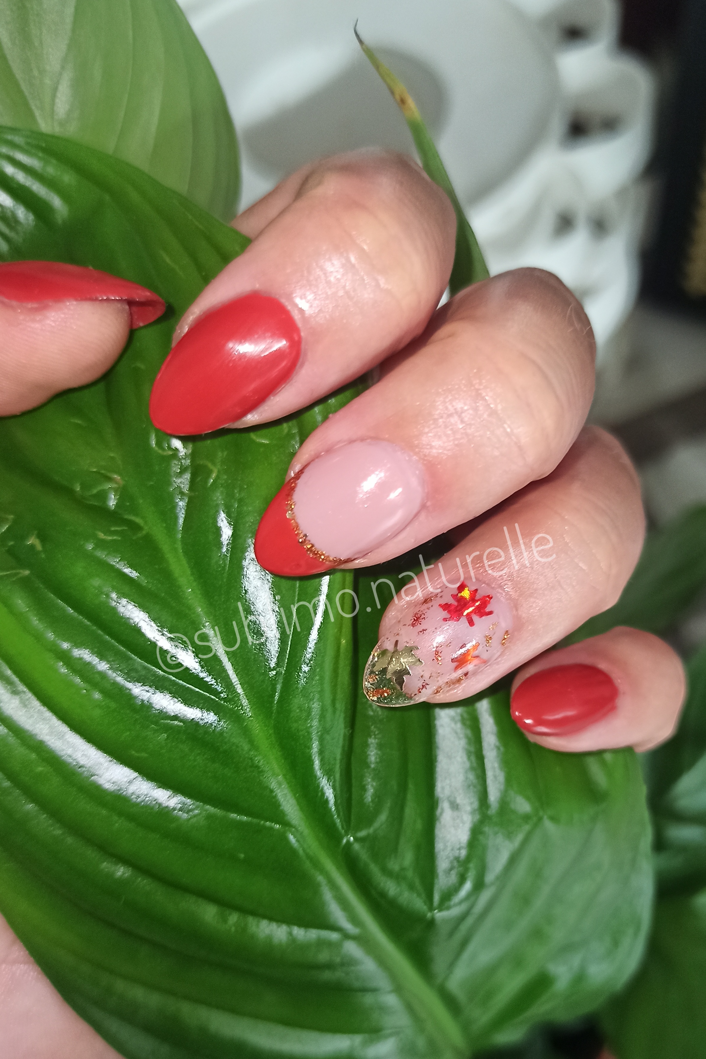 GelX 
Incrustation 
French 
Nail art 