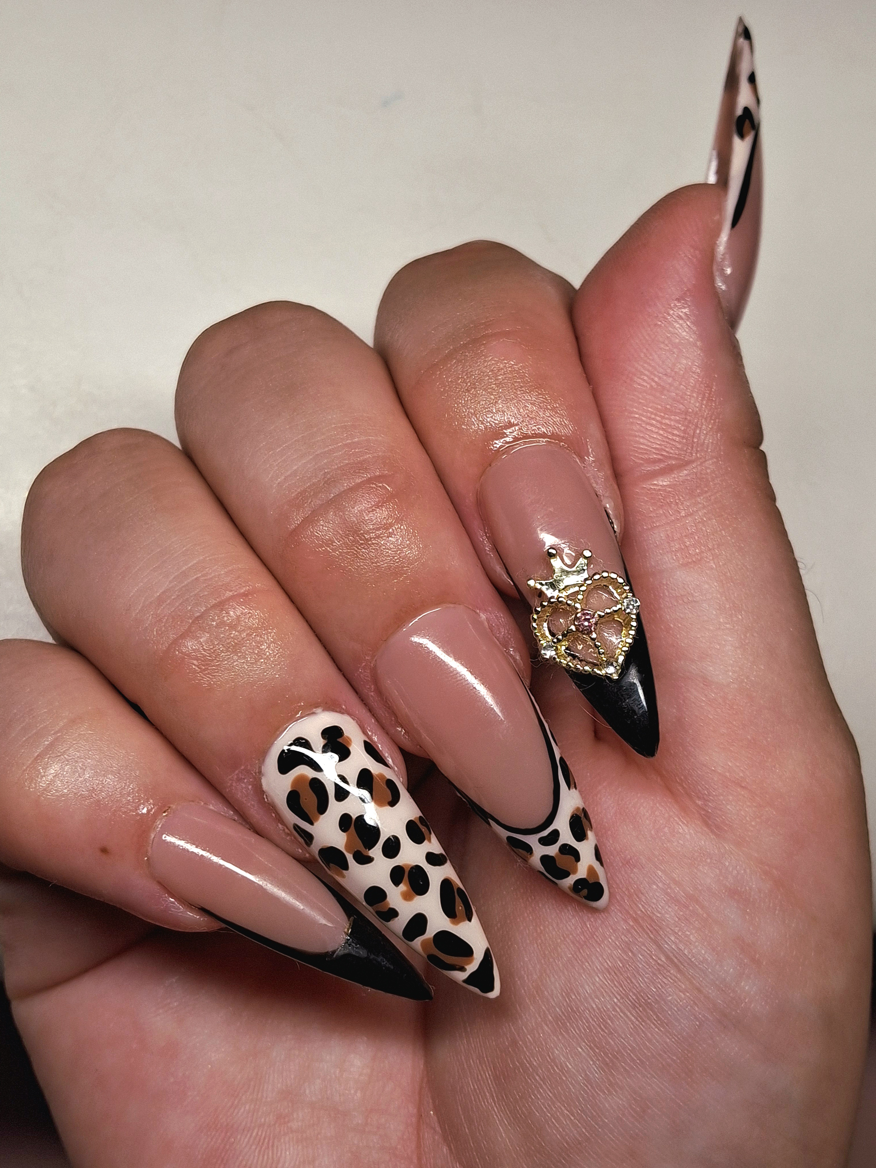 🖤🐆
